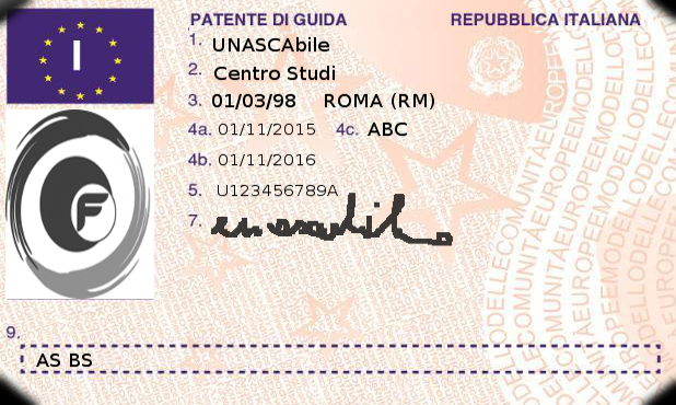 I codici sono riportati sulla pagina 2 (retro) della patente formato card si distinguono in codici: UE armonizzati (codici da 01 a 99), nazionali (codice 100 e superiori), validi nello Stato membro che ha rilasciato il documento;